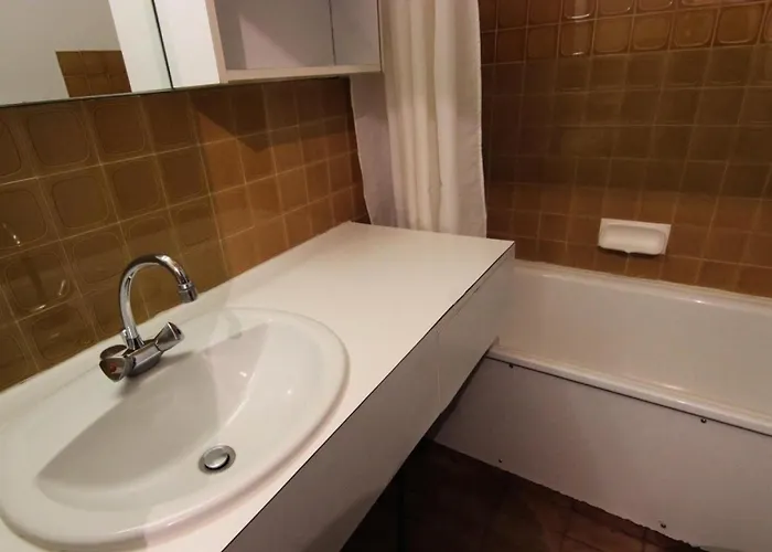 Apartamento Olympic - 2 Pieces 4 Pers. Au Pied Des Pistes Dans Appreciee Mae-7553